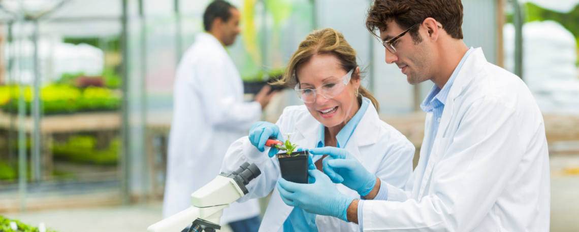 School of Agriculture Studies